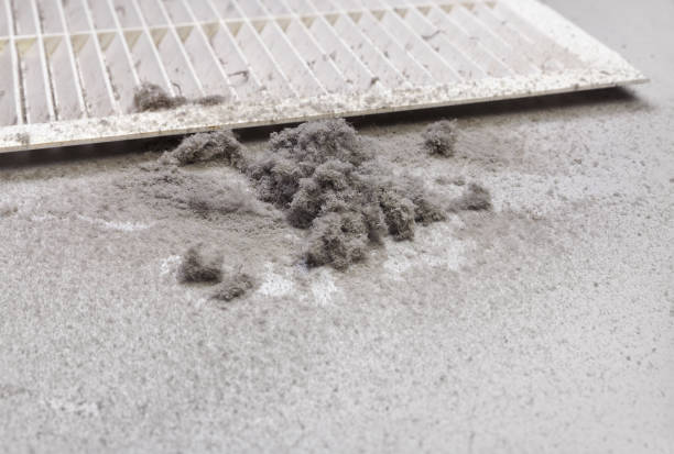 Best Professional Duct Cleaning Services  in Garrett, IN